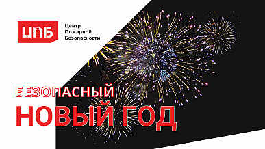 Как провести новогодние праздники безопасно