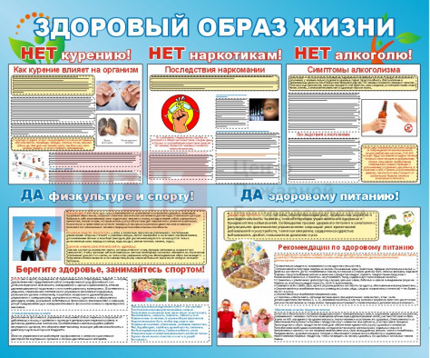 SDB11 Здоровый образ жизни 1200х1000
