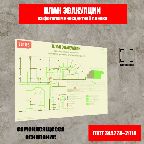 План эвакуации 600х800 мм на фотолюминесцентной плёнке (самоклеящийся, без основы)