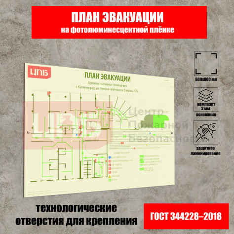 План эвакуации 600х800 мм на фотолюминесцентной плёнке с защитной ламинацией (основание из композита)
